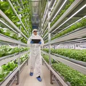 Sistemas de Cultivo Verticales Móviles para Interiores, para el Cultivo de Cáñamo - Product Image 6