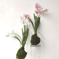 Empat musim terlihat nyata cymbidium anggrek merah marun buatan dengan daun dan GNOME untuk tengah tanaman meja