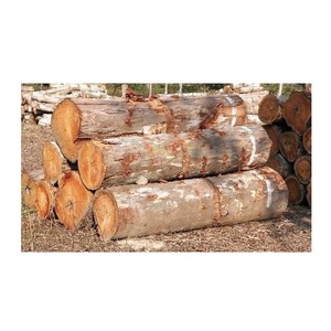 Premium Eucalyptus Wood Round <b>Logs</b> - Furniture Grade, Kiln-Dried, and Planed - Product Image 4