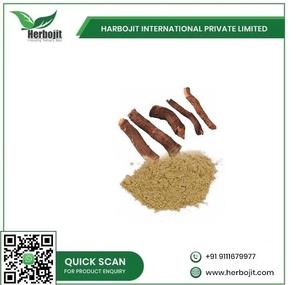 Alta demanda orgánico Chitrakmool Extracto de hierbas en polvo suplemento Natural digestión mejorada salud de las articulaciones embalaje de tambor salud - Product Image 2