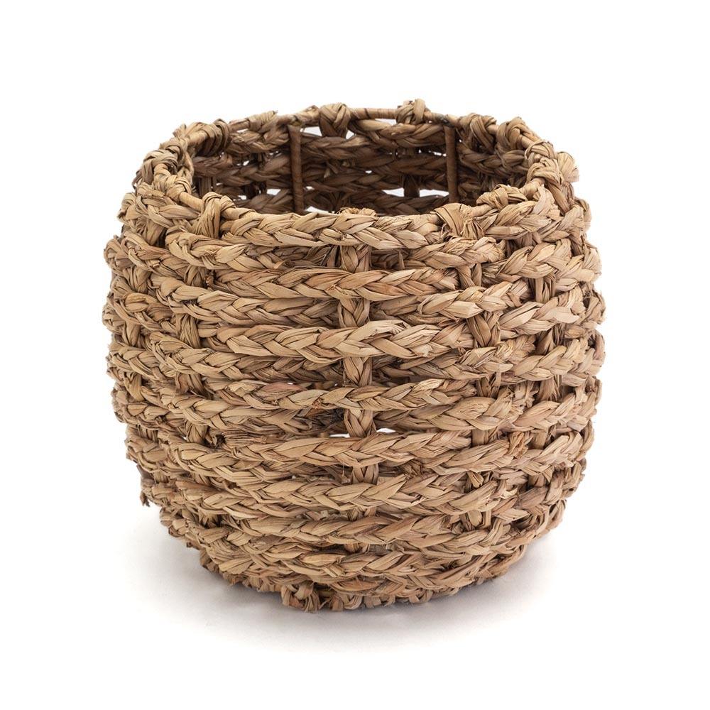 ธรรมชาติ