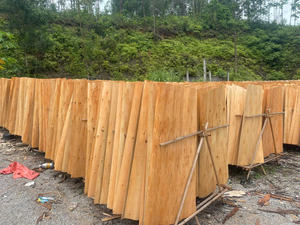 Placage de bois d'acacia et d'eucalyptus du Vietnam HCPLY LUCYPLYWOOD 640x1270mm 18% d'humidité Garantie 1 an Utilisation en entrepôt Prix compétitif - Product Image 2