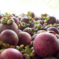Premium Biologische Verse Mangosteen Superieure Kwaliteit Duurzaam Gekweekt Geavanceerde Verpakking Thailand Khey Taladthai Merk 1-2