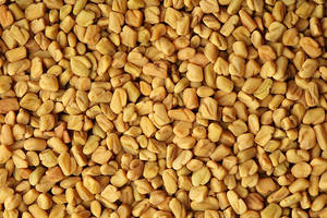 Graines de fenugrec d'origine indienne 100% biologiques sans résidus de pesticides de haute qualité Superaliment naturel pour la digestion et la cuisine 2 ans - Product Image 5