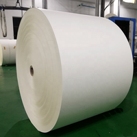 Vente directe d'usine, papier kraft de qualité alimentaire, simple/double face, 100 g/m², rouleaux de papier kraft enduit de PE