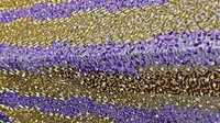 Tissu de dentelle perlée classique détaillant floral broderie artisanale écologique pour les filles Lehenga concevant des occasions élégantes