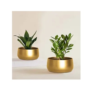 Jardinière décorative élégante en métal avec support au design de feuille d'or Lot de 2 plateaux pour salon chambre balcon décor - Product Image 4
