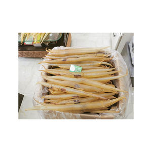 Fauces de Anguila premium disponibles a granel a precios competitivos al por mayor para los mercados globales - Product Image 3