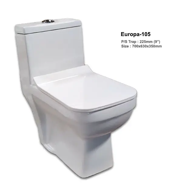 Toptan tek parça S tuzak akıllı akıllı tuvalet akıllı tuvalet bidesi WC tuvalet koltuk banyo için Europa-105