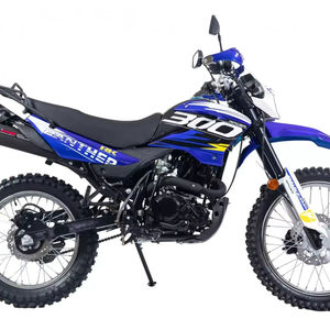 Nuevo Modelo 2025 RACERs RC300-GY8X PANTHER - Product Image 1