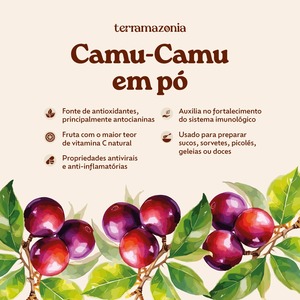 3 unidades de Terramazonia Camu Camu en Polvo 226g, Superafruta Amazónica, 500mg de Vitamina C, a Base de Plantas, Sin Gluten - Product Image 4