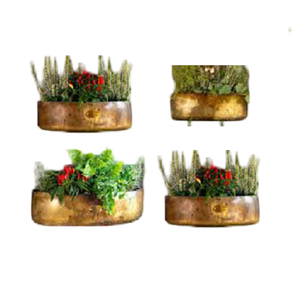 Maceta colgante de pared de hoja de metal con acabado de revestimiento de polvo de oro con maceta redonda montada en la pared con acabado antiguo de latón - Product Image 5