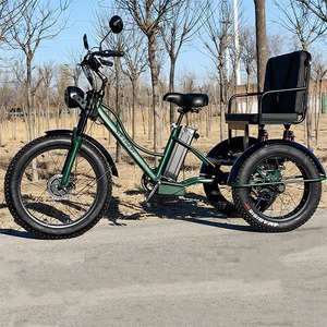 NUEVO Triciclo Eléctrico de Litio de 3 Ruedas de 24 Pulgadas, 600W/750W, con Asiento Trasero para Pasajero y Doble Amortiguador - Product Image 1