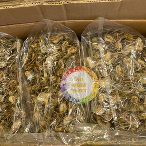 Alcachofa y Frijol Adzuki (Atiso) Naturales Sin OMG de Vietnam, Cultivo Común Seco a Granel, Precio Competitivo - Caryln - Product Image 5