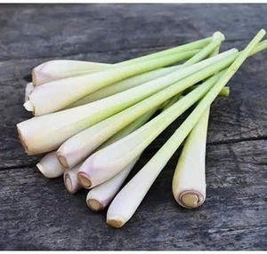 Limoncillo vietnamita auténtico: Exportación a granel, fresco y congelado - Product Image 2