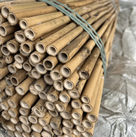 Bâton de support de jardin naturel en bambou pour plantes, arbres et légumes | Fourniture de jardinage écologique durable