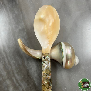 Décoration naturelle océanique en coquillages, matériau pour articles de décoration faits à la main et souvenirs du Vietnam - Product Image 5