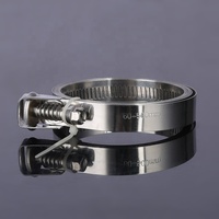 Collier de serrage universel en acier inoxydable plaqué zinc, type T, pour fixation de tuyaux