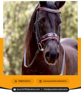 Remaches ligeros para enelope, rieles con tinta, remaches ligeros - Product Image 3