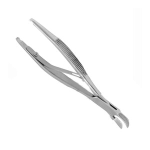 Pinzas hemostáticas para animales de acero inoxidable, pinza médica de algodón para vaca y oveja - Product Image 2