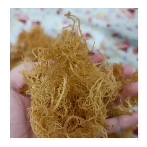 ลดกระหน่ำ!!! สาหร่ายมอสสาหร่ายทะเลแห้งจากเวียดนาม - Product Image 2