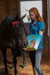 Système de brouillard de refroidissement extérieur à haute pression Trifecta de vente rapide avec des fonctionnalités automatiques et stables - Product Image 6