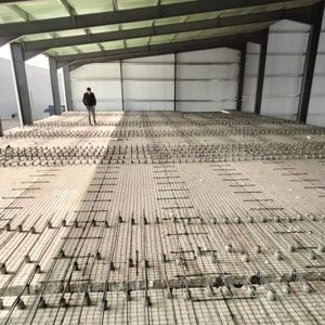 Eco-Strength: Diseños Modulares para Desarrollos Rápidos - Product Image 1