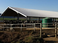 Bâtiment de ferme préfabriqué à structure en acier durable et bon marché pour grange à vaches, moutons, bovins, produits laitiers et chèvres, hangars à volaille, construction de porcheries