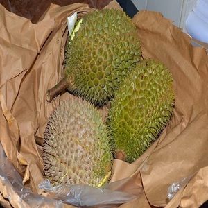 High Quality <b>Fresh</b> <b>Durians</b> Originated From Vietnam Deliciously Fatty and Sweet - Product Image 3