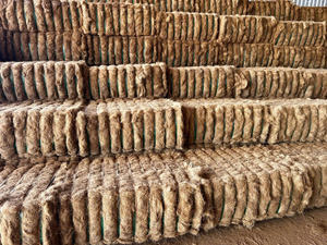 Matières Premières De Fibre De Noix De Coco Vietnamienne Utilisées Pour Produire Des Produits De Fibre De Noix De Coco-Exportation Dans Le Monde - Product Image 6