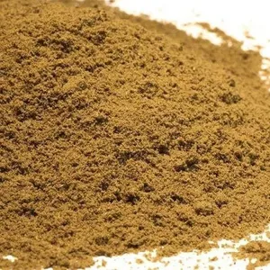 Alta demanda Trachyspermum Ammi Ajwain polvo crudo seco para cocinar procedente de la India - Product Image 4