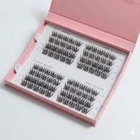 Kit de démarrage pour cils faits à la main pour débutants - Emballage OEM avec logo personnalisé, matériau PBT, 12 rangées, ensemble d'outils professionnels pour cils, vente en gros