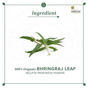 Khadi ผงใบ bhringraj อินทรีย์ธรรมชาติ-100% ธรรมชาติ-100กรัม - Product Image 4