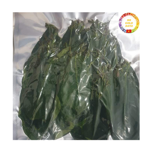 Hojas de Guanábana Secas Naturales de Vietnam, Venta al por Mayor, Té de Hoja de Graviola, Suministro a Granel - Product Image 1