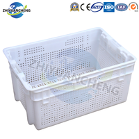 Panier de courses en plastique pour fruits, caisse en maille, boîte de rangement pour tomates, caisse à légumes en PP de qualité alimentaire, recyclable