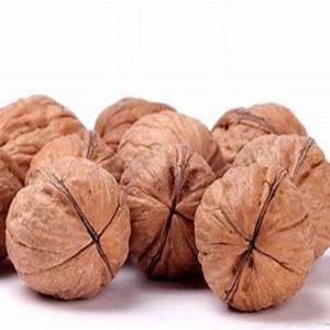 Nuez altamente nutritiva Granos de nuez de alta calidad y buen precio para exportaciones al por mayor en todo el mundo - Product Image 1