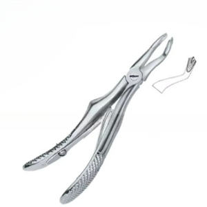 Produits de logo personnalisé de haute qualité Pinces d'extraction de dents dentaires Fig.3 Instruments dentaires en acier inoxydable - Product Image 6