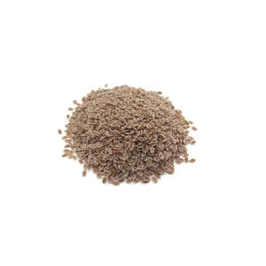 Graines de psyllium de haute qualité et produit agricole Premium Husk pour les suppléments de fibres - Product Image 2