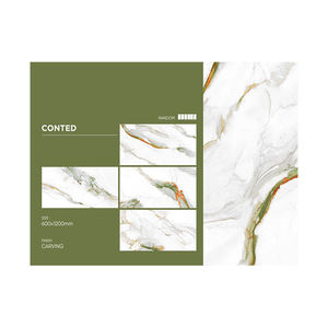 Carreaux en porcelaine de haute qualité 60 cm * 120 cm avec finition sculptée, design moderne pour les murs et les sols intérieurs, provenant d'exportateurs indiens - Product Image 1