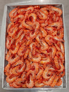Crevettes Vannamei entières cuites, surgelées IQF, qualité export - Product Image 3