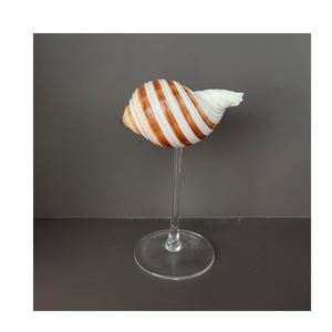 Meilleure offre verre à vin Turbo Shell fait à la main gobelet Burgess unique pour les événements de plage et l'exportation de boissons - Product Image 3