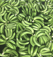 Vietnamse verse Cavendish bananen, geproduceerd met handgekozen fruit voor detailhandel, horeca en wereldwijde distributie.