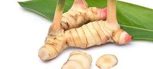 GALANGAL TRANCHÉ CONGELÉ AVEC ARÔME FRAIS ET COULEUR NATURELLE, PRÊT À UTILISER EN CUISINE - Product Image 4