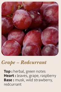 Candela Aromaterapica di Lusso Moderna Fatta a Mano, Fragranza Uva e Ribes Rosso, 20cl, Logo Personalizzato, Cera Mista in Barattolo di Vetro Cilindrico - Product Image 5