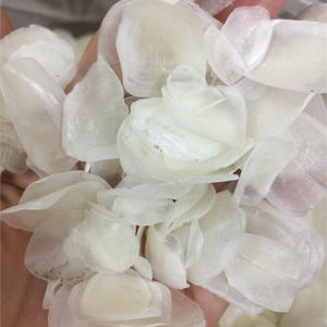 เกล็ดปลาขายดีติดอันดับจากเวียดนามในราคาไม่แพงราคาดี - Product Image 1