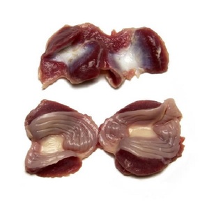 La mejor molleja de pollo de Brasil de Bélgica Halal Frozen Chicken Gizzard - Product Image 1