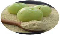 Polvo de Fruta Amla Orgánico Silvestre, Extracto Herbal Tradicional de la India, Grado Alimenticio, Confiable por Cientos de Años, Ayurveda