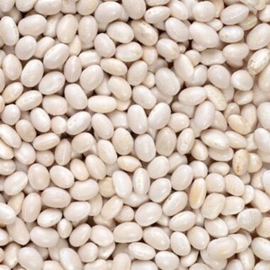 Fèves de Vigna Séchées Biologiques du Fournisseur Indien pour la Cuisine et la Germination, Riches en Protéines, pour la Production de Farine de Légumineuses, à Vendre - Product Image 1