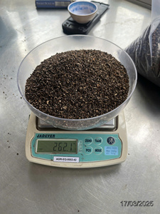 [Phalco] Pimienta Negra de Todos los Grados, Pimienta de Vietnam al por Mayor, Alta Calidad, 500 G/L 550 G/L, Origen Dak Lak, 24 Meses de Caducidad - Product Image 3