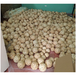Rattan Takraw Ball Sport Natural Woven High Quality Fast Delivery Made in Ho Chi Minh City 99goddata Midu Model - Product Image 3